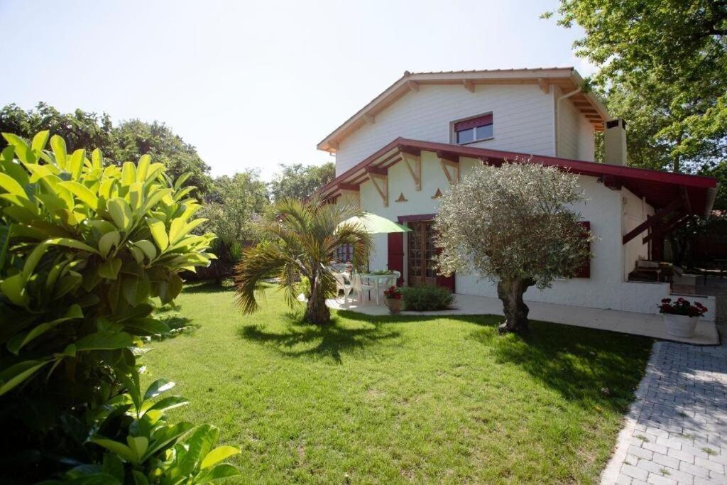 Villa Robert Shumann, A 700 M De La Plage アンデルノ・レ・バン エクステリア 写真